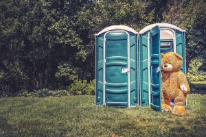 bear-coming-out-of-port-a-potty-2048px