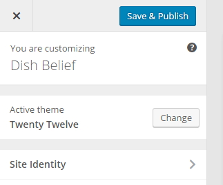 customizer-save-and-publish-button