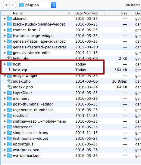 ftp-showing-plugins-folder-with-malware-hl
