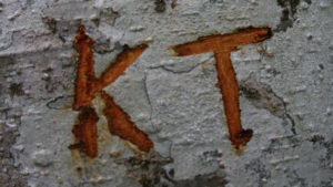 initials-carved-in-tree-kt