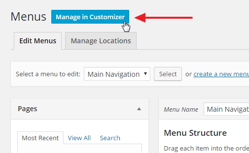 manage-in-customizer-button-highlighted-hl